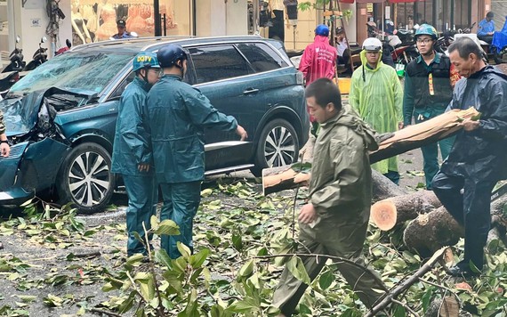 Cây xanh ở TP.HCM đổ hàng loạt do mưa lớn kèm gió giật mạnh