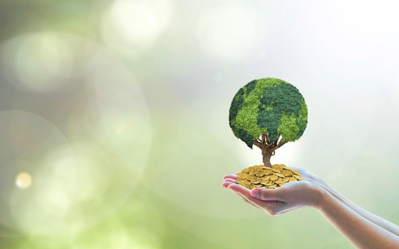 Nhận định chứng khoán ngày 12/8: Nắm giữ các cổ phiếu khỏe trong danh mục