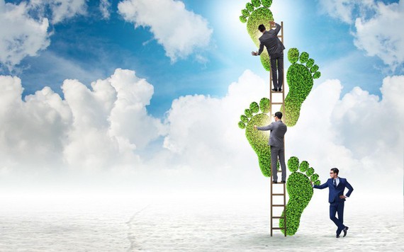 Nhận định chứng khoán ngày 8/8: Nắm giữ những mã đang trong đà tăng ổn định