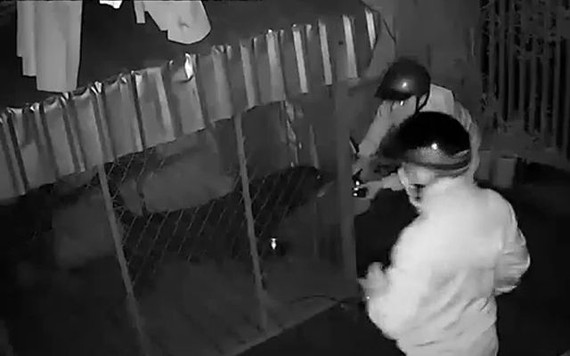 "Cẩu tặc" bẻ 2 lớp khóa bắt 2 chú chó trị giá gần 40 triệu đồng