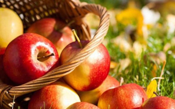 Khám phá quy trình đóng gói táo nghiêm ngặt ở nước ngoài