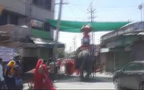 Chú rể cưỡi voi đi đón dâu thời COVID-19 ở Ấn Độ